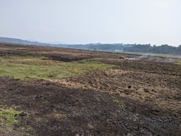 Rusizi: Umuturage yatetse umutwe akodesha bagenzi be ubutaka bwa leta.